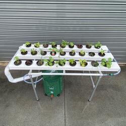 Vegie Bench Hybrid NFT Hydroponic Kit 36 Growing Locations | 1.5M x 4 Channel