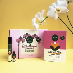 We The Wild Orchid Care Essentials Kit
