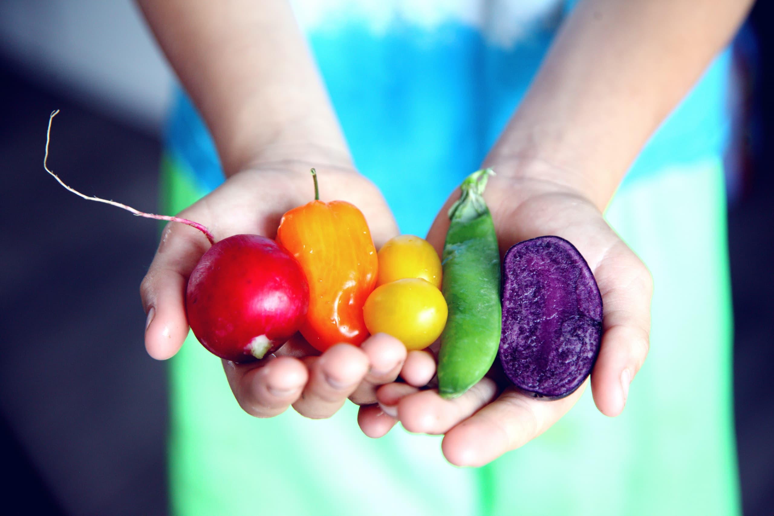 The Benefits of Aquaponics