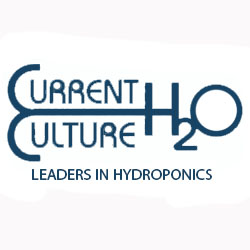 Current Culture Logo