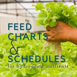 Feed Charts And Schedules For Hydroponic Nutrients