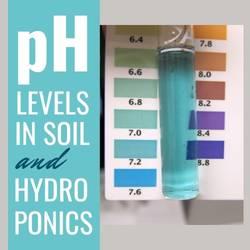 pH Level In Soil And Hydroponics