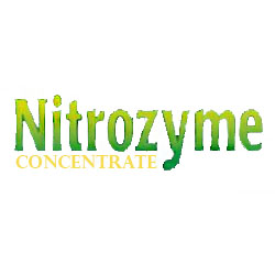 Nitrozyme Logo