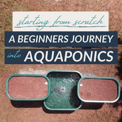 A Beginners Aquaponics Journey - Part One