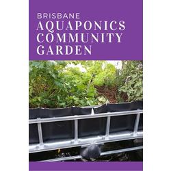 aquaponics in brisbane by aqua gardening