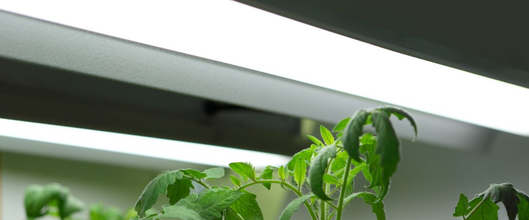 LED Grow Bars - The Best Way To Brighten Up Your Home Garden