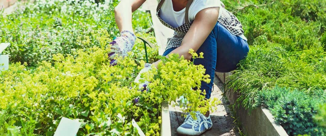 Why You Should Get Motivated To Get Out In The Garden 