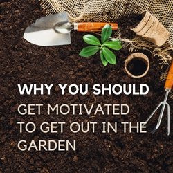 Why You Should Get Motivated To Get Out In The Garden 