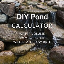 Pond Pump & Filter Calculator