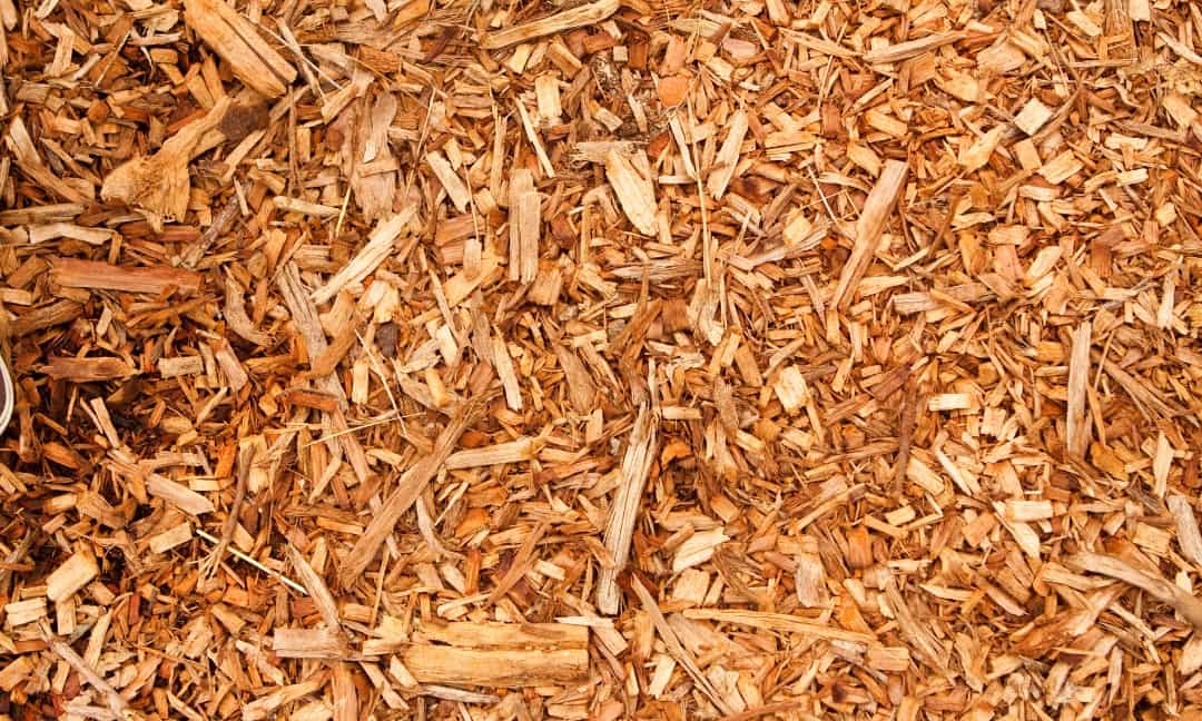 Why You Need to Add Mulch to Your Garden