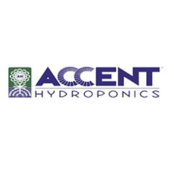 Accent Logo