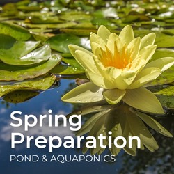 Spring Preparation Pond & Aquaponics