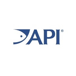 API Logo