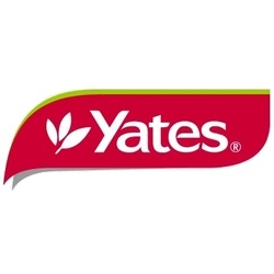 Yates Logo