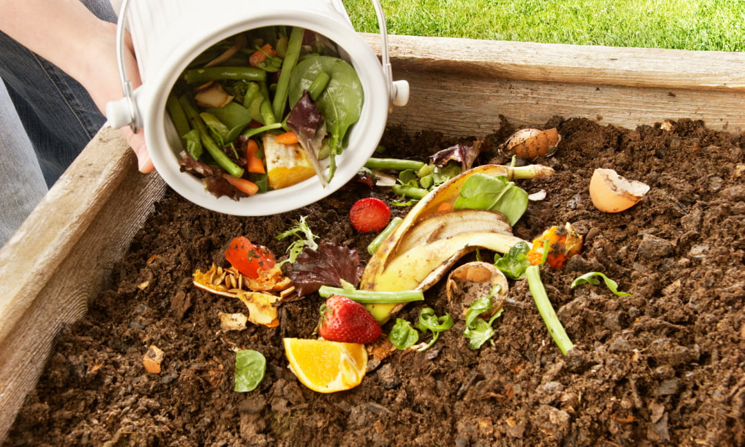 Importance of Composting at Home