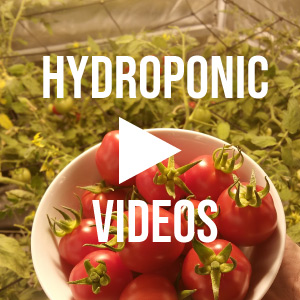 Hydroponic Video Library