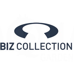 Biz Cool Logo