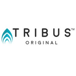 Tribus Logo