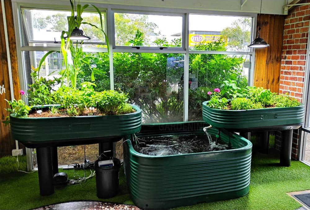 Home Aquaponics - Best Reasons to Venture